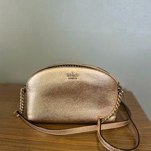 Shimmery gold pink clutch purse
